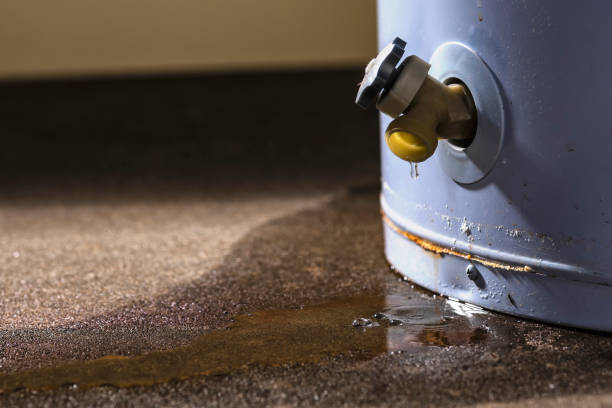 Best Carpet water damage restoration  in Baden, PA