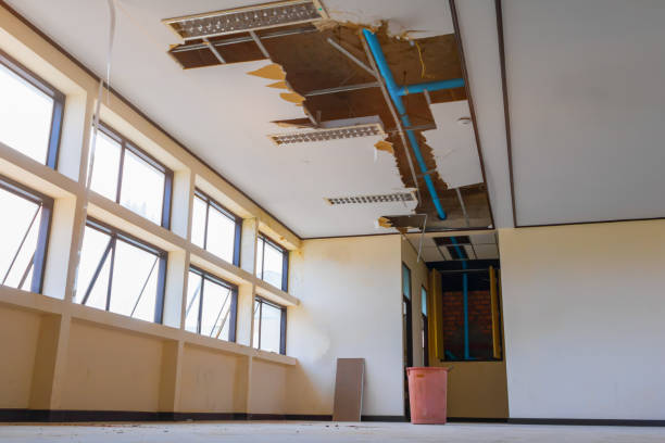 Best Professional water damage repair  in Baden, PA