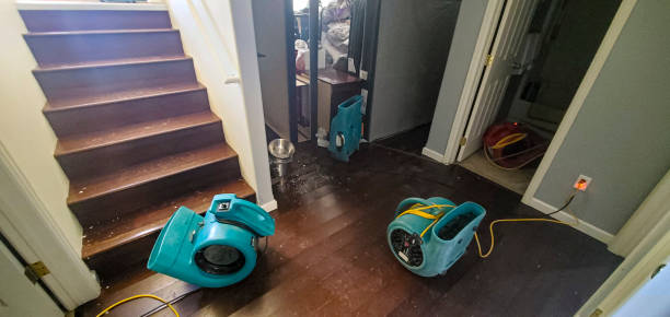 Best Ceiling water damage repair  in Baden, PA