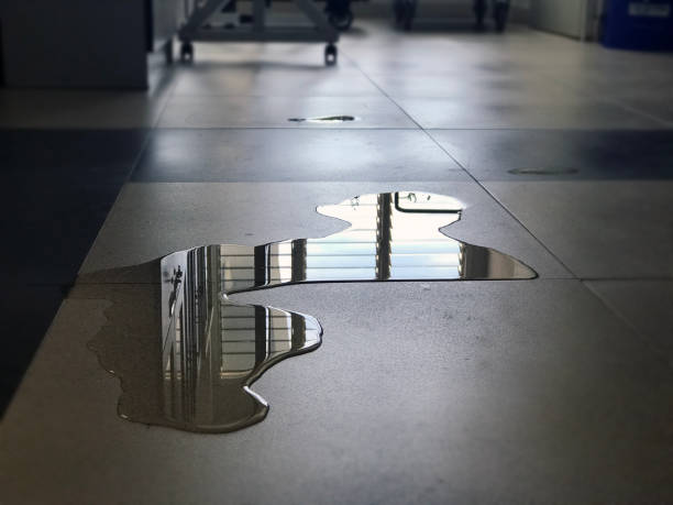 Best 24/7 water damage repair  in Baden, PA