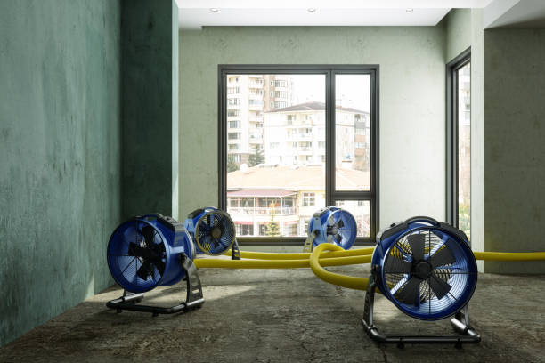 Best Flood restoration services  in Baden, PA